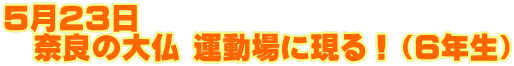 TQR @ޗǂ̑啧 ^ɌIiUNj