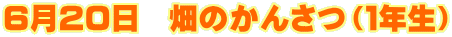 UQO@̂񂳂iPNj