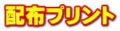 zzvg